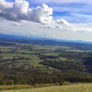 Meet your Posher, Niru